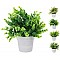 JK Home Décor - Γλαστράκι με Φυτό 24cm 4Σχδ