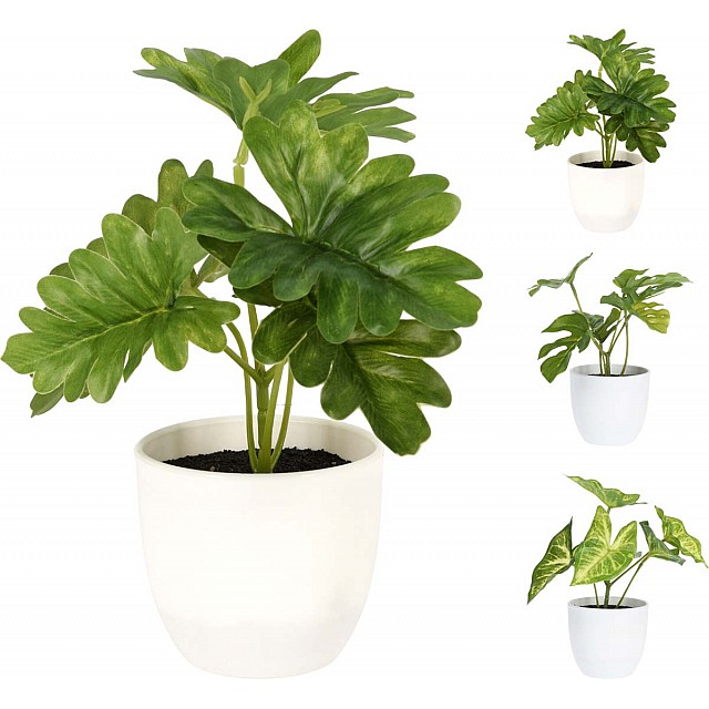 JK Home Décor - Γλαστράκι με Φυτό 15cm 3Σχδ