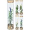 JΚ Home Décor - Φυτό σε Σωλήνα Bamboo 52x21cm 4Σχδ